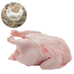WHITE CHICKEN - MEAT (3.0LBS)