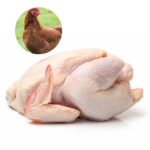 RED FEMALE CHICKEN - MEAT (3.0LBS)