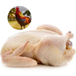 RED MALE CHICKEN - MEAT (3.0LBS)