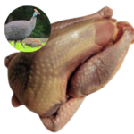 GUINEA HEN - MEAT (3.0LBS)