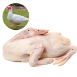 DUCK - MEAT (3.0LBS)