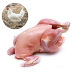 WHITE CHICKEN WITHOUT SKIN - MEAT (3.0LBS)
