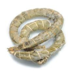 FROZEN BOBOLO (0.22LBS)