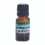 Eucalyptus Essential Oil - 1/3 oz.