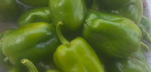 Fepehatre Foods
