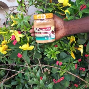 PRISCADEL GROUNDNUT PASTE - 420G
